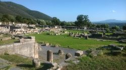 11914870_1127684693925904_1070520766_n